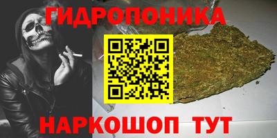 бошки Кинель