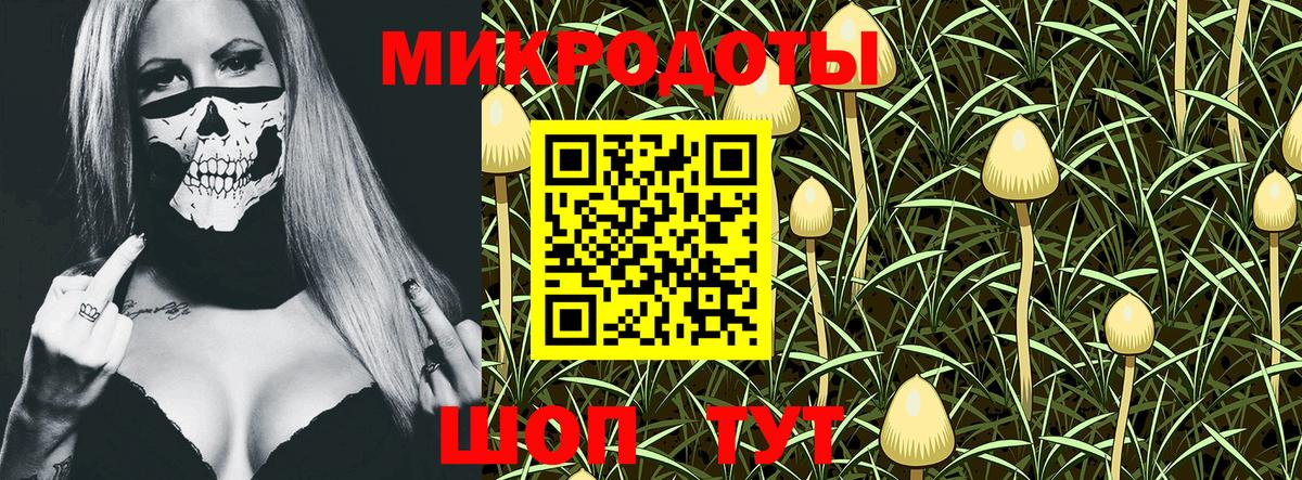 Псилоцибиновые грибы мухоморы  Псилоцибиновые грибы GOLDEN TEACHER  Анапа  Вход с VPN 